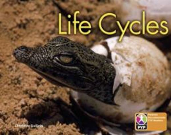 Picture of LIFE CYCLES 6