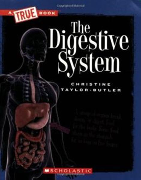 Picture of DIGESTIVE SYSTEM, THE