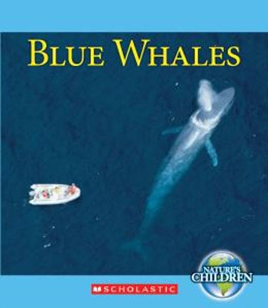 Picture of BLUE WHALES