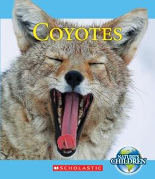 Picture of COYOTES