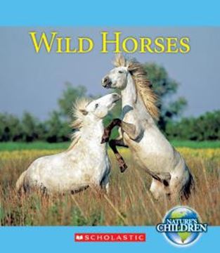 Imagem de WILD HORSES