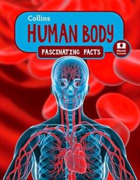 Imagem de HUMAN BODY