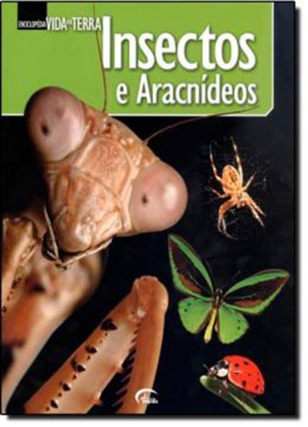 Picture of INSECTOS E ARACNIDEOS