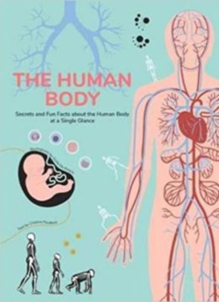 Picture of THE HUMAN BODY