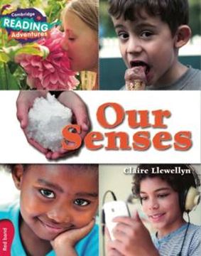 Imagem de OUR SENSES RED BAND
