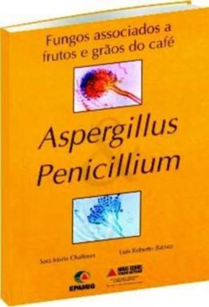 Picture of FUNGOS ASSOCIADOS A FRUTOS E GRAOS DO CAFE - ASPERGILLUS PENICILLIUM