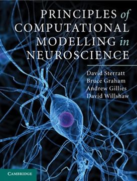 Imagem de PRINCIPLES OF COMPUTATIONAL MODELLING IN NEUROSCIENCE