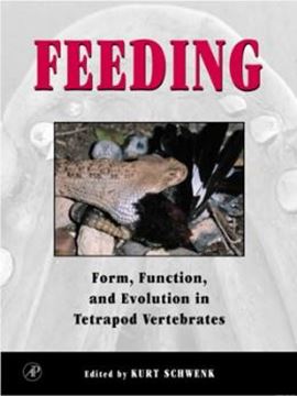 Imagem de FEEDING