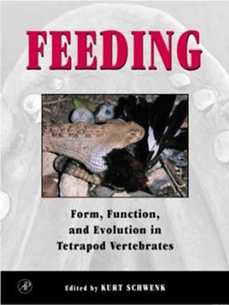 Picture of FEEDING