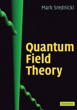 Imagem de QUANTUM FIELD THEORY