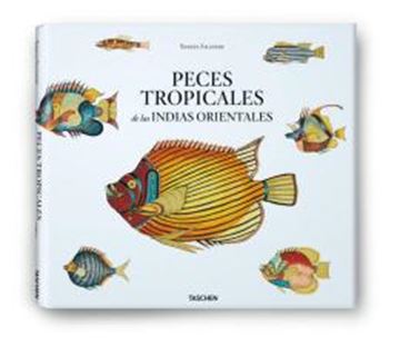 Imagem de PEIXES TROPICAIS DAS INDIAS