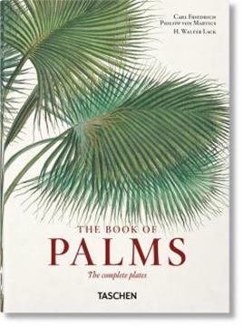 Imagem de MARTIUS. THE BOOK OF PALMS. 40TH ED.