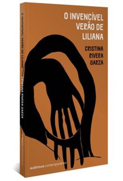 Picture of O INVENCIVEL VERAO DE LILIANA