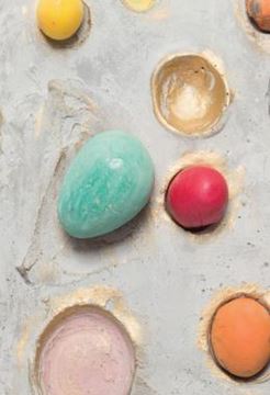 Imagem de ERIKA VERZUTTI