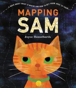 Imagem de MAPPING SAM