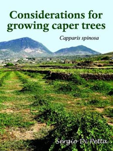 Picture of CONSIDERATIONS FOR GROWING CAPER TREES